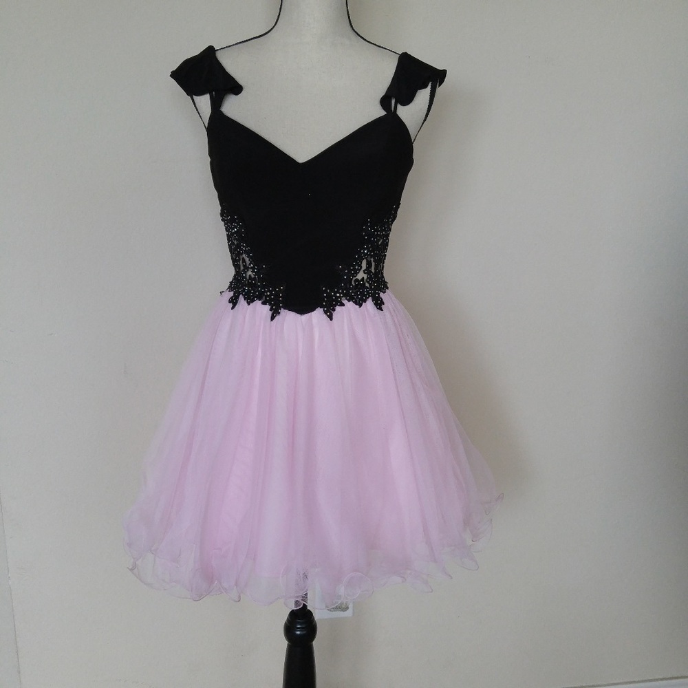 Blondie Nites Pink/Black embroidered Dress